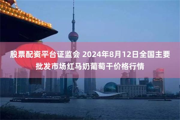 股票配资平台证监会 2024年8月12日全国主要批发市场红马奶葡萄干价格行情