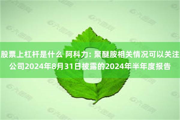 股票上杠杆是什么 阿科力: 聚醚胺相关情况可以关注公司2024年8月31日披露的2024年半年度报告