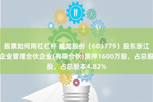 股票如何用杠杠杆 威龙股份（603779）股东浙江斐尼克斯企业管理合伙企业(有限合伙)质押1600万股，占总股本4.82%