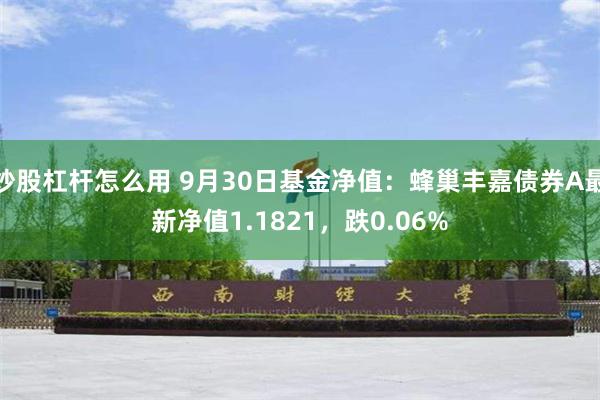 炒股杠杆怎么用 9月30日基金净值：蜂巢丰嘉债券A最新净值1.1821，跌0.06%