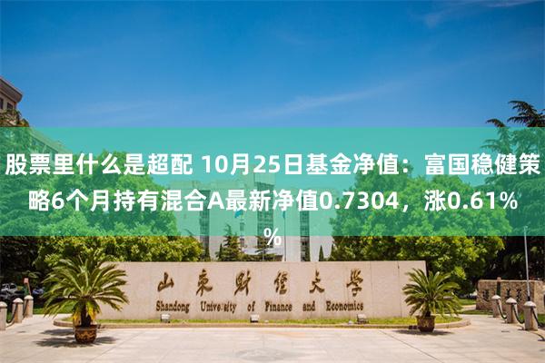 股票里什么是超配 10月25日基金净值：富国稳健策略6个月持有混合A最新净值0.7304，涨0.61%