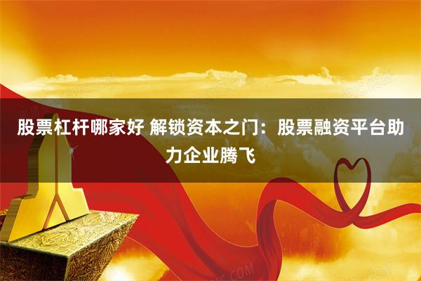 股票杠杆哪家好 解锁资本之门：股票融资平台助力企业腾飞