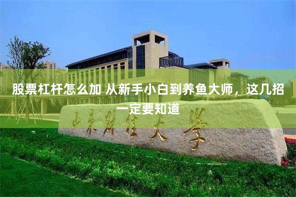 股票杠杆怎么加 从新手小白到养鱼大师，这几招一定要知道